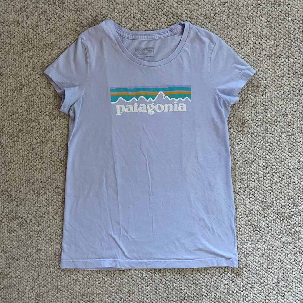Patagonia graphic t-shirt